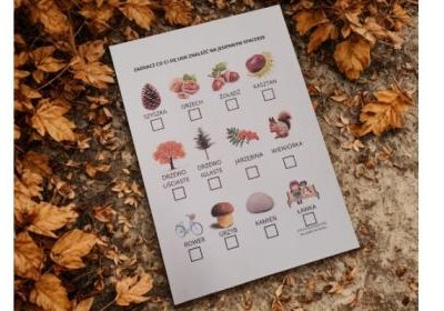 Jesienny spacer – polowanie na oznaki jesieni