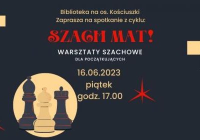 Spotkanie z cyklu Szach mat! - czyli warsztaty szachowe dla poczatkujących