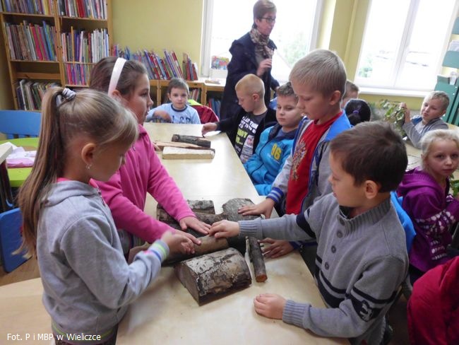 Dendrologia dla każdego