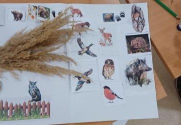 Biblioteczne odwiedziny