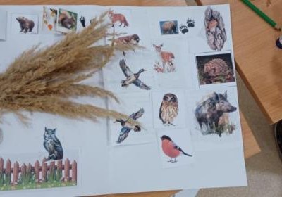 Biblioteczne odwiedziny