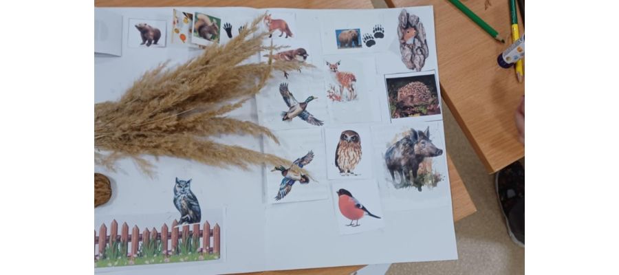 Biblioteczne odwiedziny