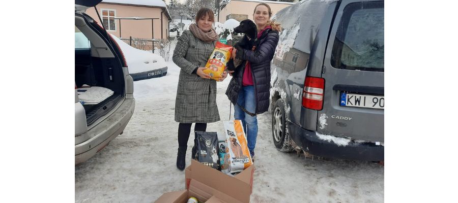 Mikołaj u zwierzaków ze schroniska