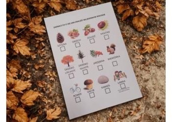 Jesienny spacer – polowanie na oznaki jesieni