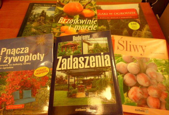 Wystawa książek w Zabawie