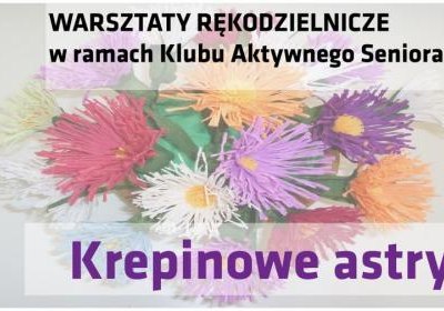 Krepinowe astry w Klubie Aktywnego Seniora