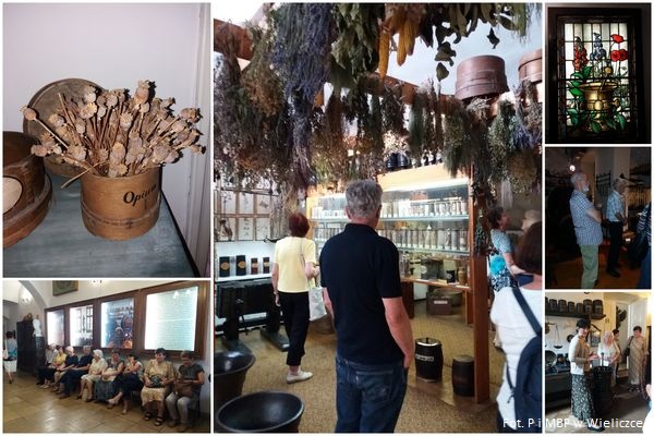 Muzeum Farmacji z Wakacyjnym Klubem Seniora
