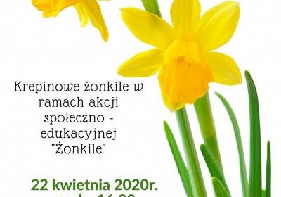 Tutorial rękodzielniczy - krepinowe żonkile w ramach akcji społeczno – edukacyjnej „Żonkile”.