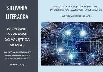 W głowie. Wyprawa do wnętrza mózgu