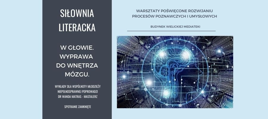 W głowie. Wyprawa do wnętrza mózgu