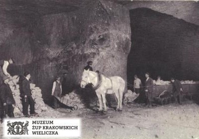 Majowe spotkania w Muzeum